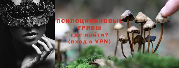 спиды Козельск