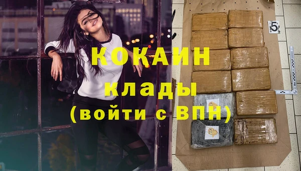 спиды Арсеньев