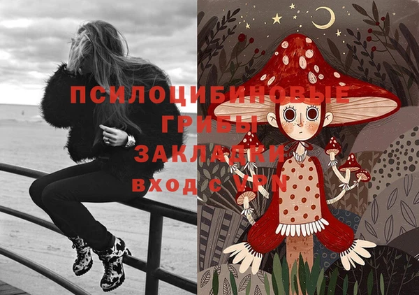 кокс Армянск