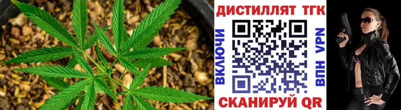 Дистиллят ТГК Wax  Сенгилей 